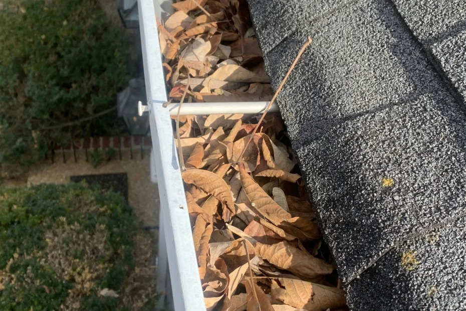 Gutter Cleaning Walnut Grove