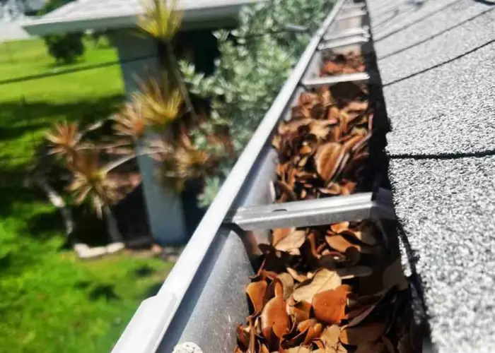 Gutter Cleaning Walnut Grove home page